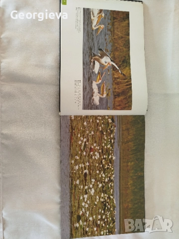 Книга "Tour Net" - 300 стр, снимка 4 - Специализирана литература - 52743255