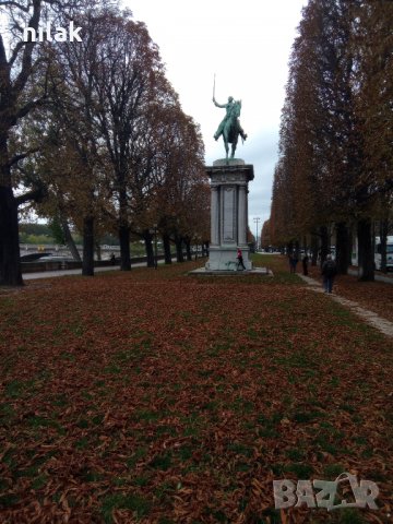 Почистване на Листа от дървета и Изхвърляне ! Косене на трева !