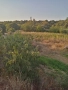 продава парцел Сандански, снимка 2
