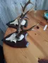 трофеи от сръндак, снимка 6