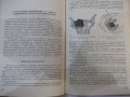 Книга "Гинекология - Илия Щъркалев" - 296 стр., снимка 6
