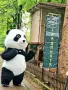 Панда , panda варна парти аниматор , снимка 7