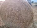 Слама размер на бала 120×150, снимка 1