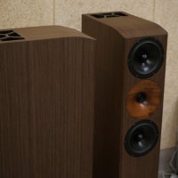 SLAudio SVS TL, снимка 10 - Тонколони - 41762944