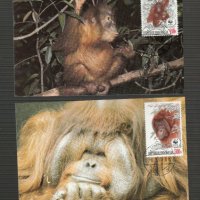 Индонезия 1983 - 4 броя Карти Максимум - WWF, снимка 1 - Филателия - 38890742