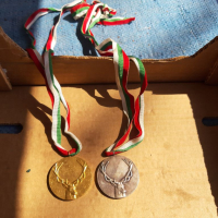 Два броя медали, снимка 1 - Колекции - 36216483