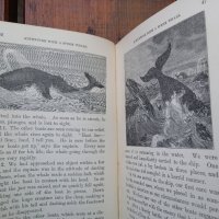 The Royal Readers 1882г,стара книга,рядка, снимка 6 - Антикварни и старинни предмети - 35679815