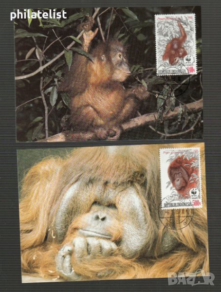 Индонезия 1983 - 4 броя Карти Максимум - WWF, снимка 1
