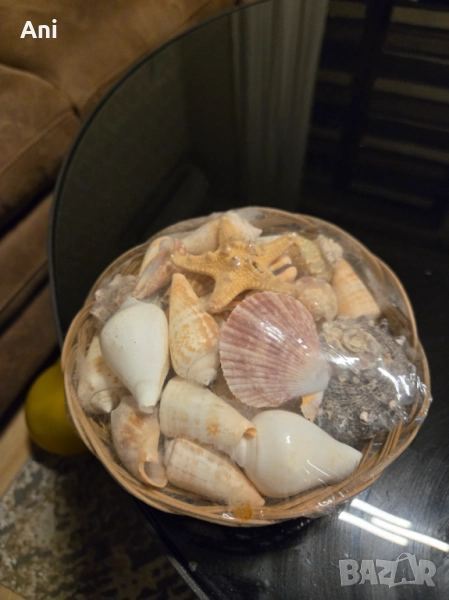 Плетен панер с различни рапани и миди, снимка 1