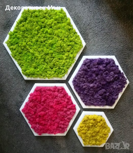 Уникални шестоъгълни картини от естествен мъх! Декорация,арт,модерно,свежо., снимка 1