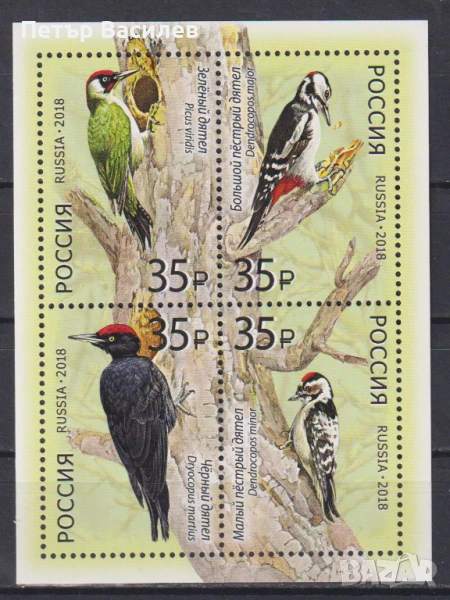 Чист блок Фауна Птици Кълвачи 2018 от Русия, снимка 1