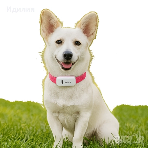 Тракер за домашен любимец - GPS локатор, снимка 5 - За кучета - 51698839