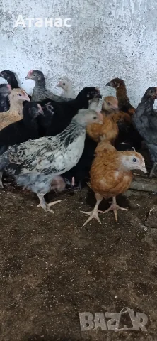 Продавам пилета на 1,2 и на 4 месеца.