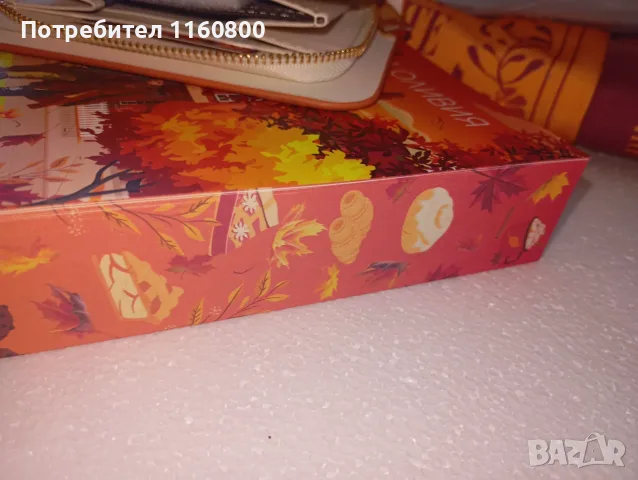 Книжна кутия  Charly Wilde, снимка 6 - Художествена литература - 55987993
