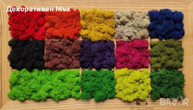 ПРЕМУИМ декоративен скандинавски стабилизиран мъх - на едро и дребно, снимка 6 - Декорация за дома - 31836832