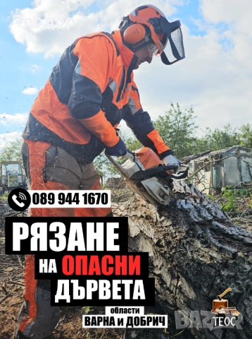 Рязане на опасни дървета и почистване на дворове – Варна, снимка 11 - Хамалски услуги - 53670302