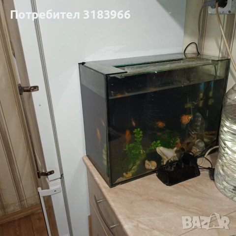 голям аквариум с рибки оборудван 50 х 40 х 24