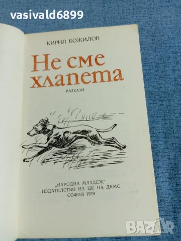 Кирил Божилов - Не сме хлапета , снимка 4 - Детски книжки - 56261137