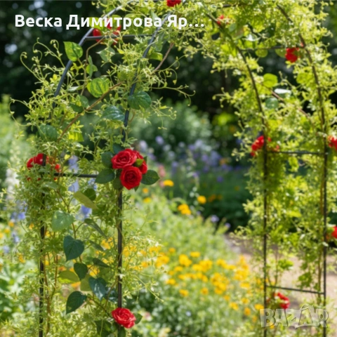 Многофункционална градинска пергола - естетика и стил във всяка градина и събитие, снимка 4 - Други - 53821724