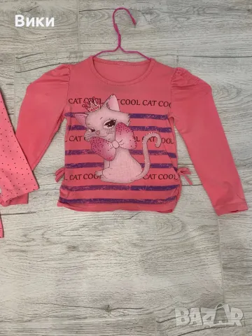 Лот детски блузи 4-5г ръст 110см, снимка 7 - Детски Блузи и туники - 49601130