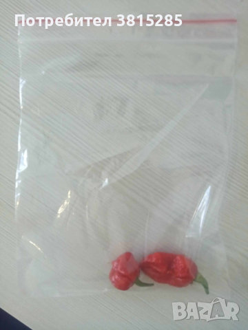 Люти чушки - Carolina Reaper - Каролина Рийпър - Най - лютите в света, снимка 3 - Домашни продукти - 44682824