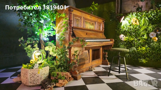 Зала за събития под наем Elysium Garden, снимка 2 - Други - 53201531