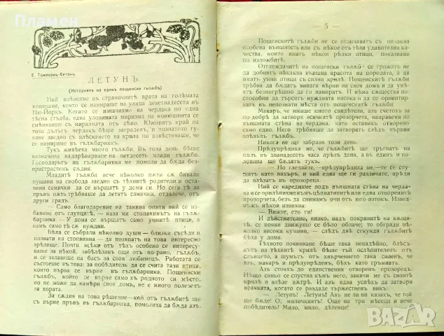 Младъ читатель. Кн. 1-2 / 1919, снимка 5 - Антикварни и старинни предмети - 56181429