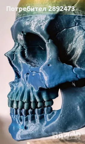 3D принтиран анатомичен череп – детайлен и стилен декор, снимка 13 - Други - 49012075