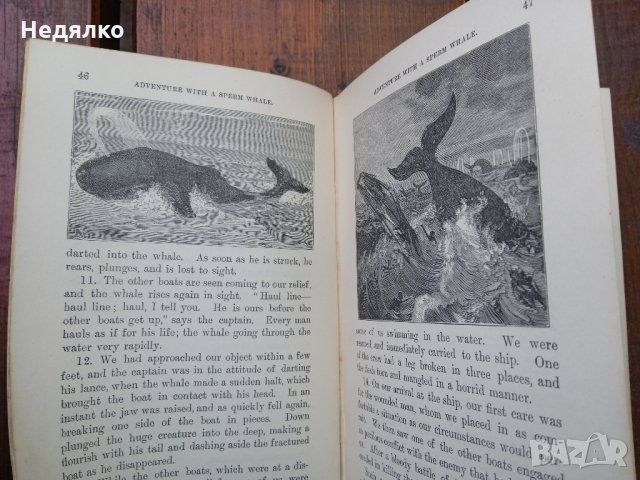 The Royal Readers 1882г,стара книга,рядка, снимка 6 - Антикварни и старинни предмети - 35679815