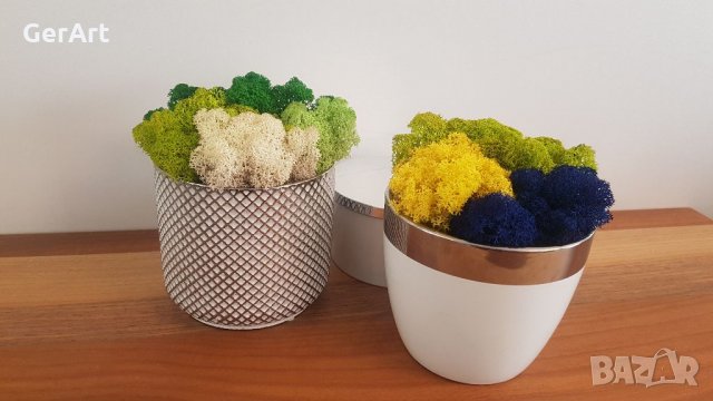 Кашпи със скандинавски мъх , снимка 2 - Декорация за дома - 35919623