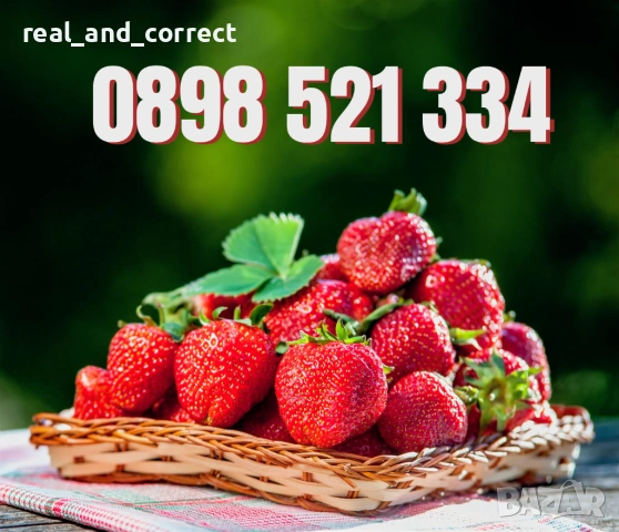 Само ЗА ЦЕНИТЕЛИ Уникален БИО разсад Ягоди и Малини