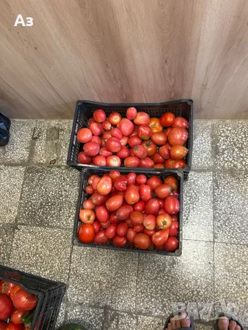 Продавам домашни домати