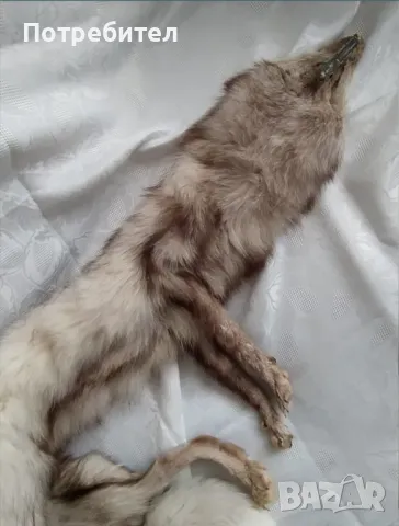 Яка от цяла лисица, снимка 10 - Шалове - 49942193
