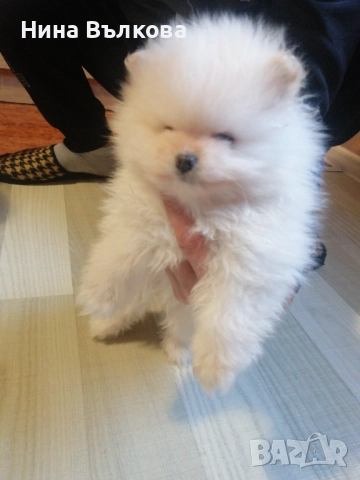 Мини пумеран 