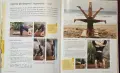 Справочник - Guide to Yoga, снимка 11