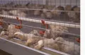 Продавам Ферма,автокъща,автомивка на главен път   Е-79, снимка 5