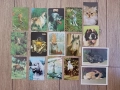Календарчета с животни - за колекционери, снимка 5