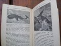 The Royal Readers 1882г,стара книга,рядка, снимка 6