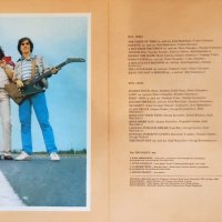 Щурците-Вкусът на времето-двоен албум, снимка 1 - Грамофонни плочи - 42230486