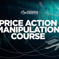 Видео Курс Piranha profits Price Action Manipulation Course Level 2, снимка 1 - Други курсове - 44928865