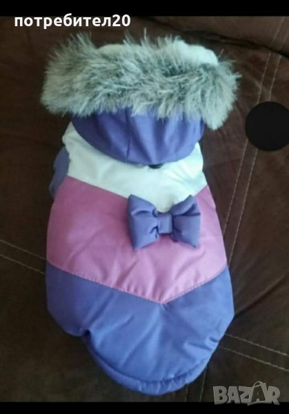 Зимно яке за малка порода куче , снимка 1