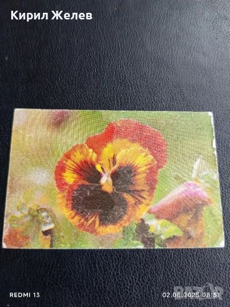 Старо календарче 86г. серия цветя много красиво за КОЛЕКЦИЯ ДЕКОРАЦИЯ 72791, снимка 1