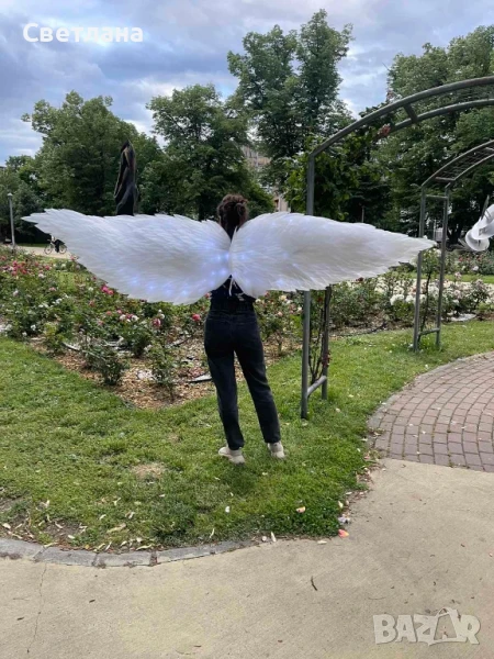 Светещи крила за танци, фотосесии и шоу программи , снимка 1