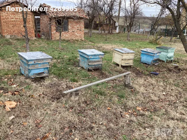 Pchelni kosheri, снимка 2 - За пчели - 48145792