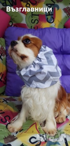 Снуд за кучета за предпазване, снимка 12 - За кучета - 35984279