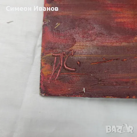 Интересна стара картина подписана П.С. SG2012, снимка 6 - Картини - 47576488