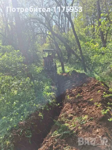 Почистване на дворове, рязане на опасни дървета, изкопани дейности , снимка 5 - Други ремонти - 48854407
