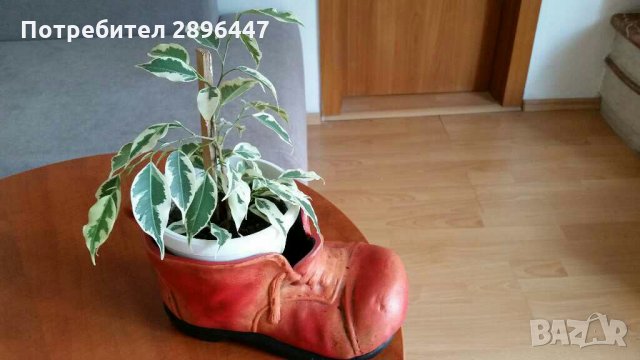 Керамична кашпа-за цвете, декорация Намалена!, снимка 12 - Вази - 34179861