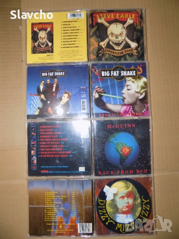 Дискове на -Steve Earle/Big Fat Snake-Beautiful Thing/Roger McGuinn-Back from Rio/Dizzy Mizz Lizzy, снимка 8 - CD дискове - 39950432