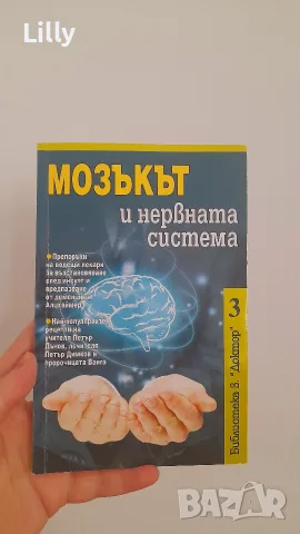 мозъкът и нервната система 
